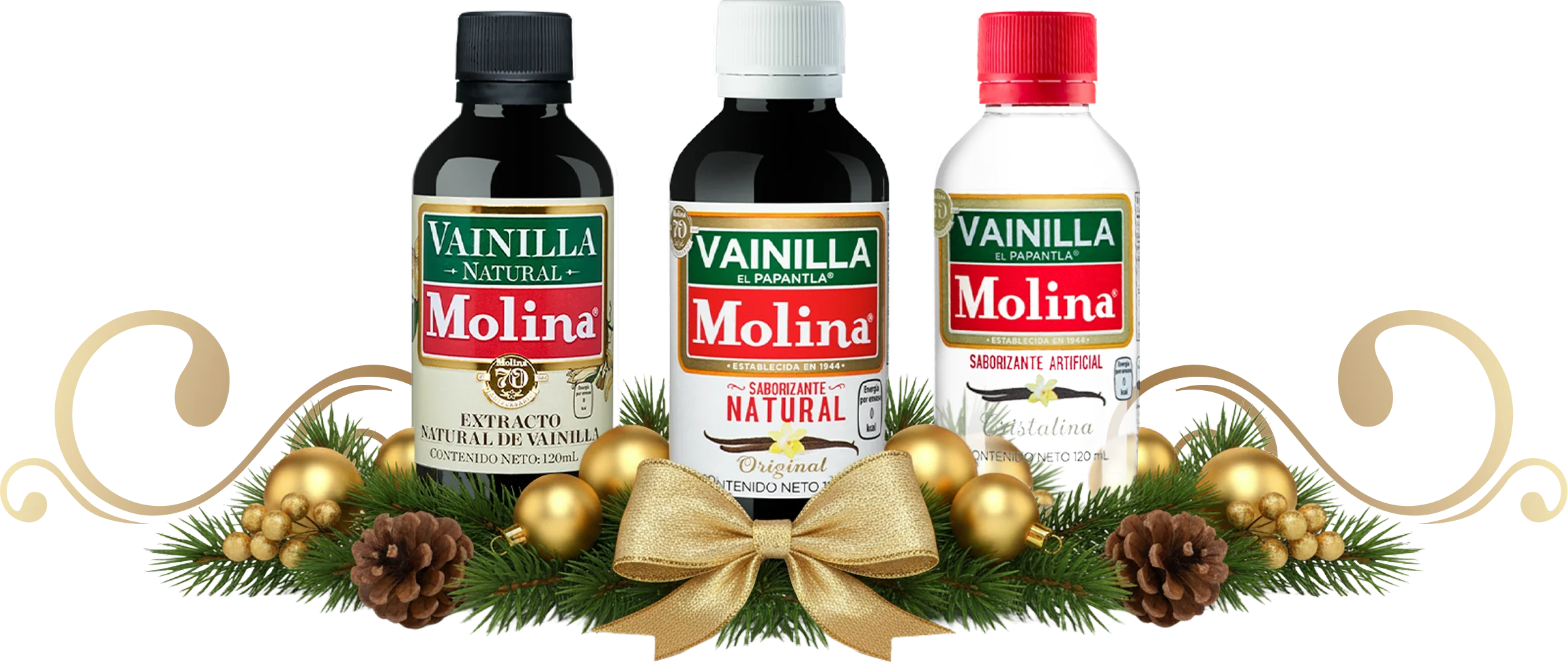 Sabores que iluminan